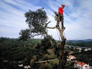 gallery/img_20161207_113043