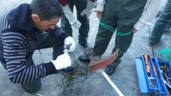 gallery/20161129_105731