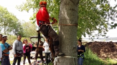 gallery/20160429_140405